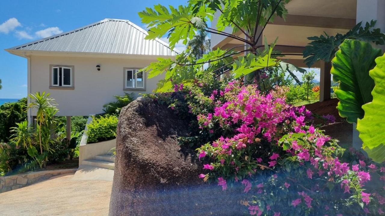 La Trouvaille Aparthotel Anse a La Mouche Ngoại thất bức ảnh