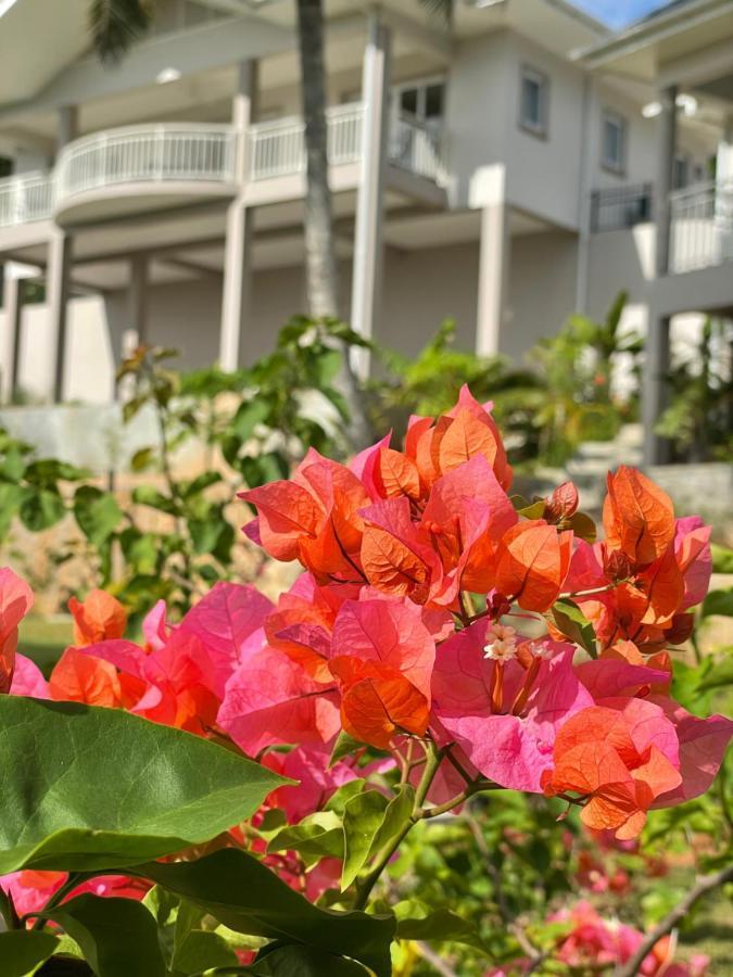 La Trouvaille Aparthotel Anse a La Mouche Ngoại thất bức ảnh